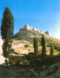 Shobak Castle